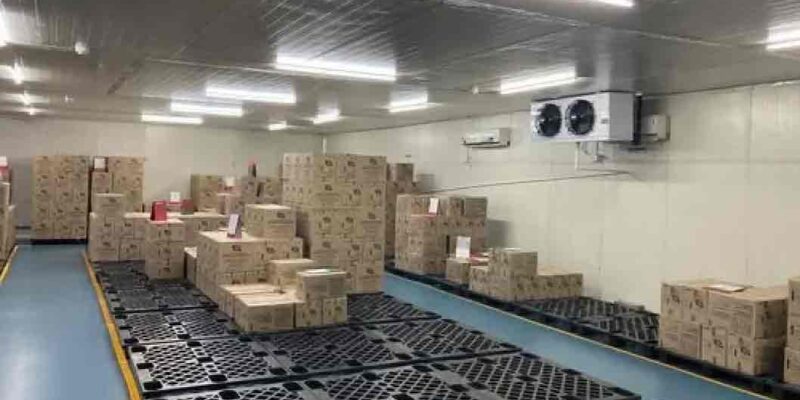frozen food storage rental in abu dhabi