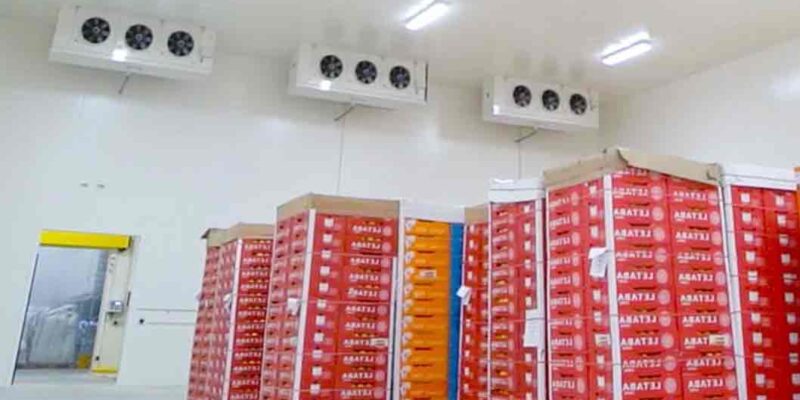 frozen food storage rental in dubai