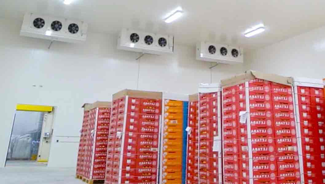 frozen food storage rental in dubai