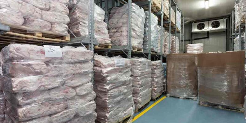 frozen food storage rental in uae
