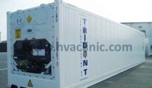 How to Store Food Safely Using a Reefer Container in UAE